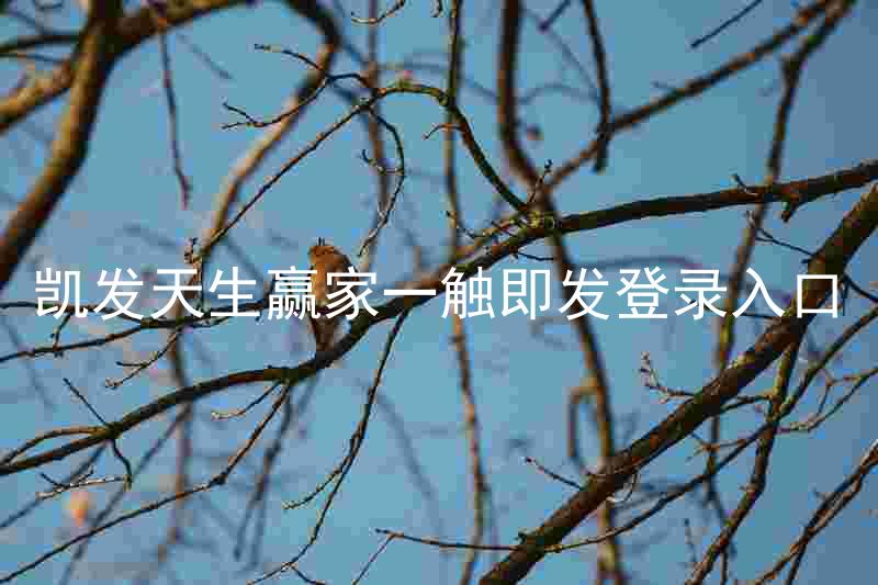凯发天生赢家一触即发登录入口